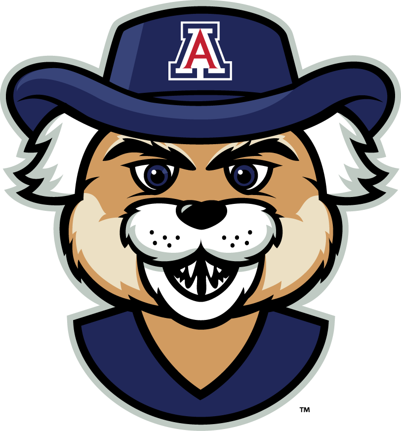 Arizona Wildcats 2013-Pres Mascot Logo v5 diy DTF decal sticker